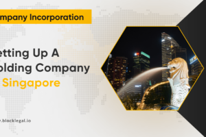 Setting up a Holding Company in Singapore