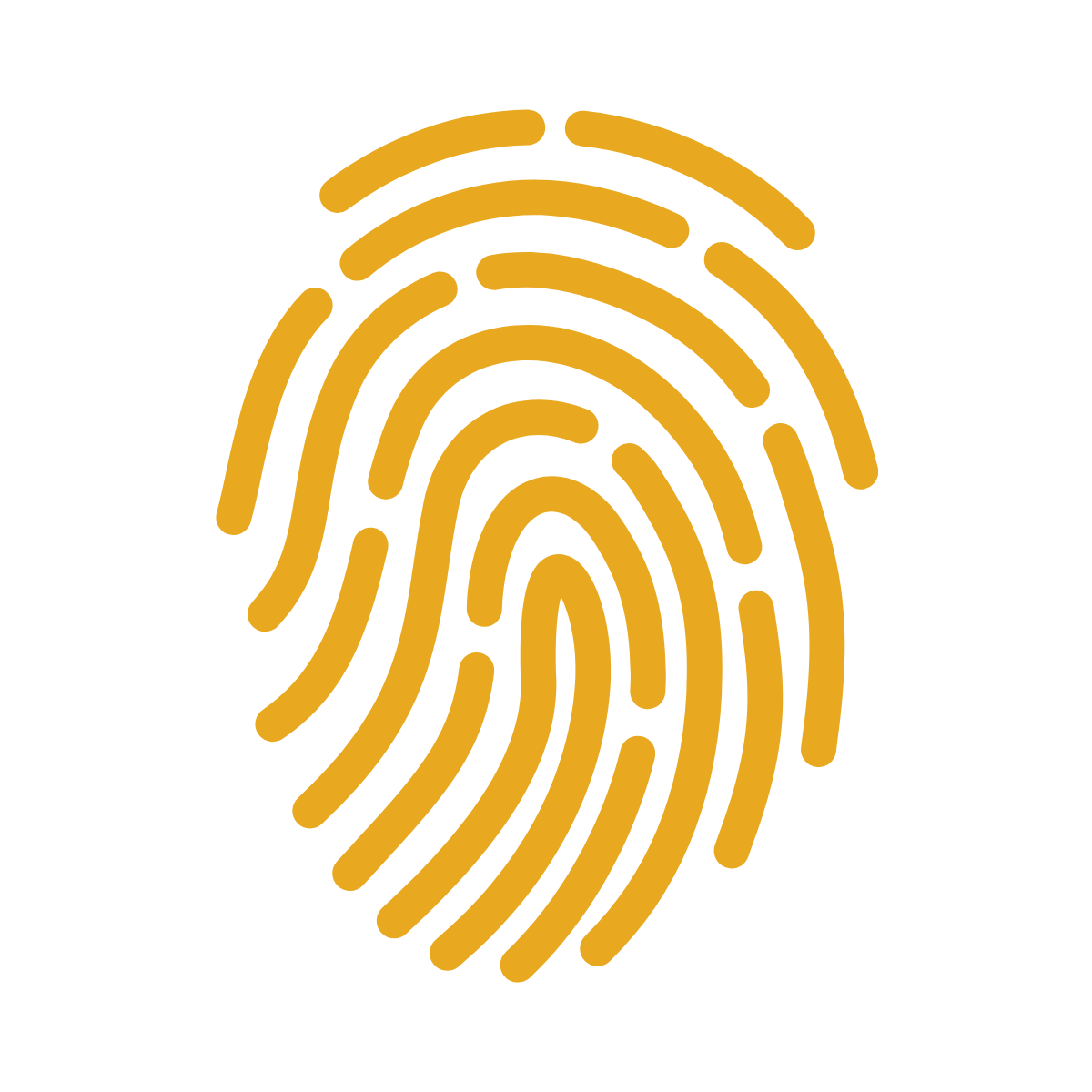 Data Governance and Security Data Governance and Security